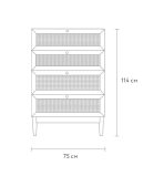 Tủ Ngăn Kéo Roshal Wood Vân Gỗ - 1 - Ảnh 9