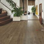 Sàn Gỗ Dream Floor 8mm O168