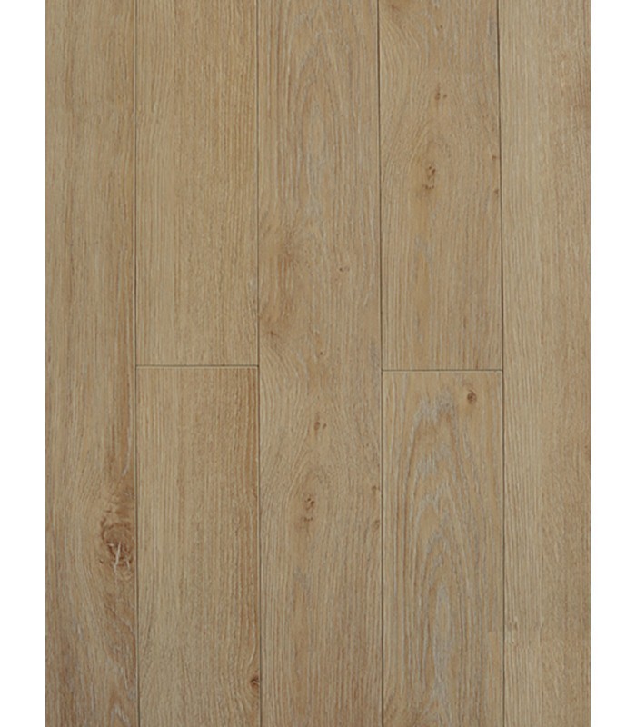 Sàn Gỗ Dream Classy 8mm DC350