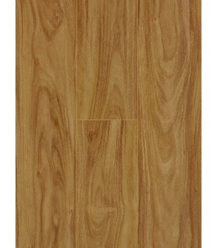 Sàn Gỗ Dream Floor 8mm D168