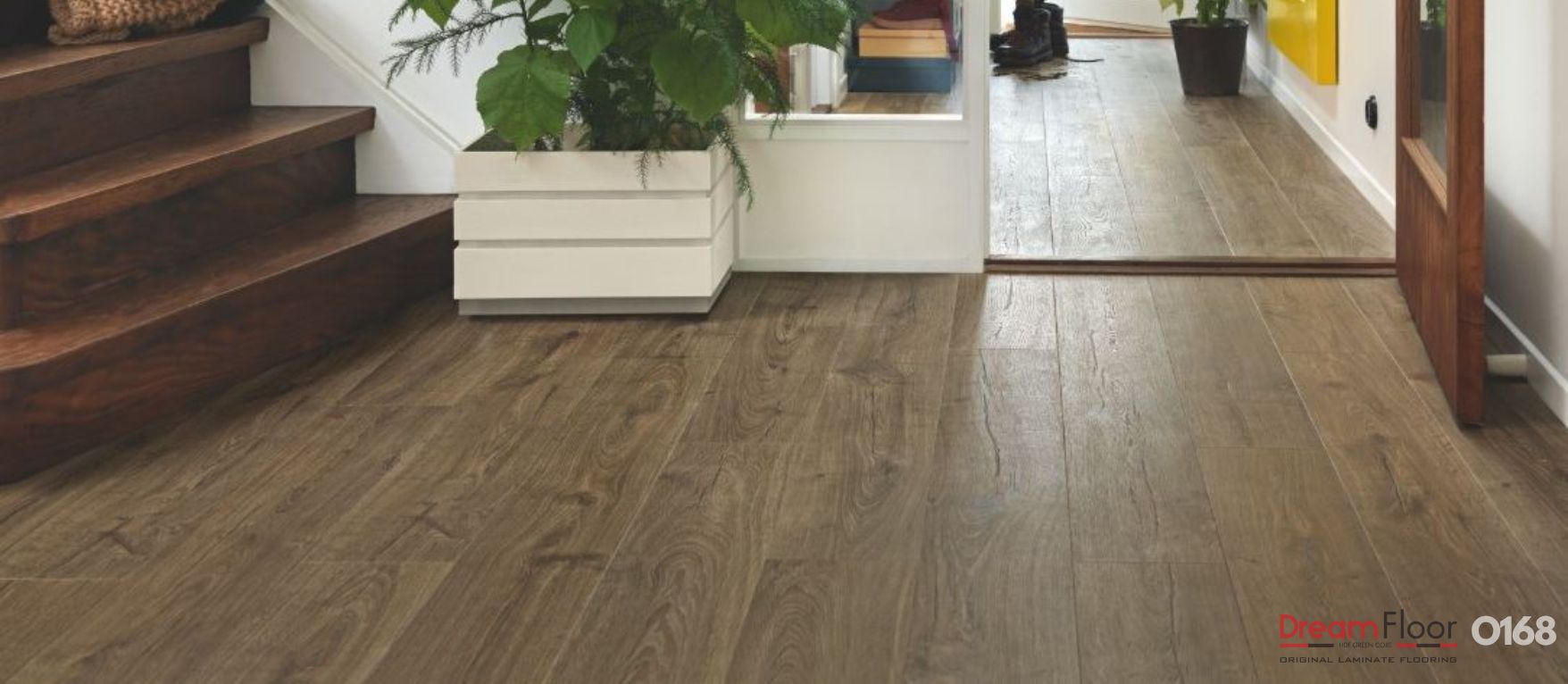 Sàn Gỗ Dream Floor 8mm O168