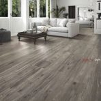 Sàn Gỗ Dream Floor 8mm O179