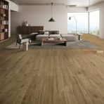 Sàn Gỗ Dream Floor 8mm O189