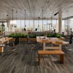 Sàn Gỗ Dream Floor 8mm O193