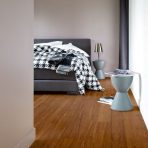 Sàn Gỗ Dream Floor 8mm T186