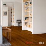 Sàn Gỗ Dream Floor 8mm T186