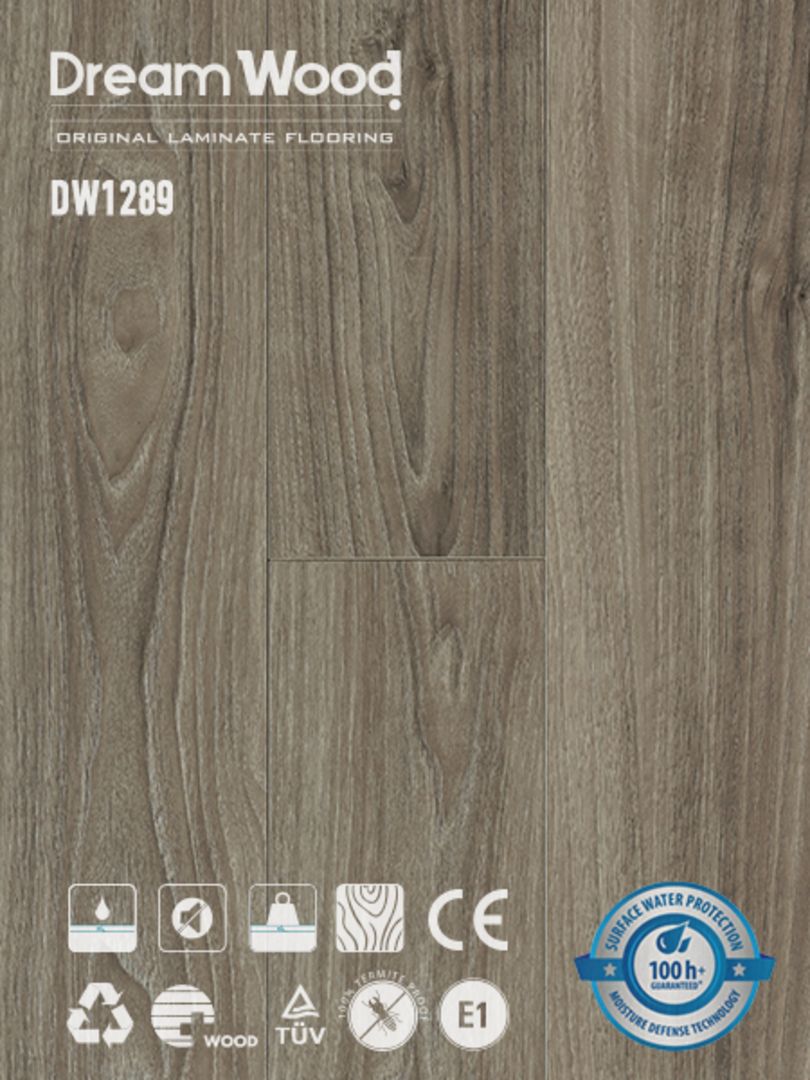 Sàn Gỗ Dream Wood 12mm DW1289