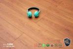 Sàn Gỗ DreamLux 8mm PL8868
