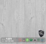 Sàn Gỗ DreamLux 8mm PL8879