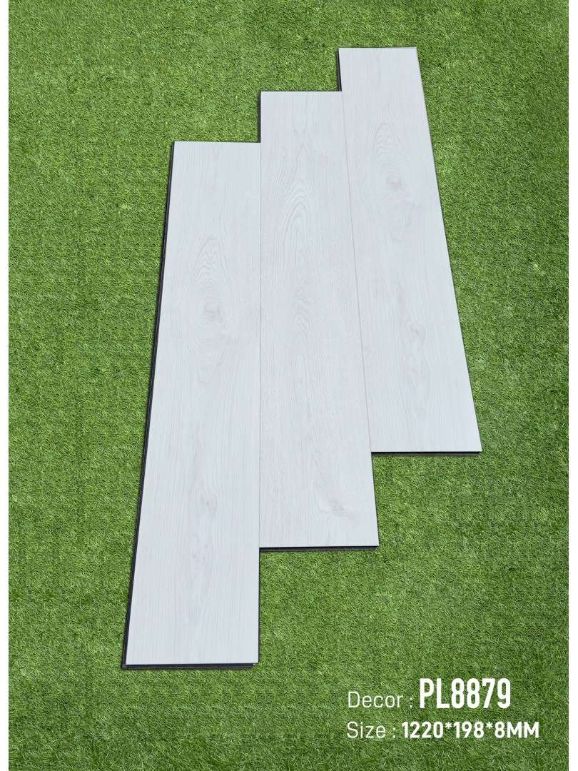 Sàn Gỗ DreamLux 8mm PL8879