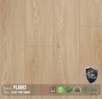 Sàn Gỗ DreamLux 8mm PL8893