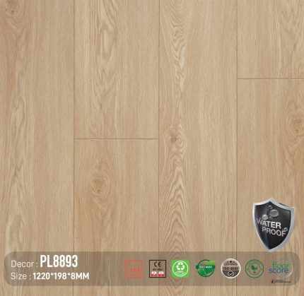 Sàn Gỗ DreamLux 8mm PL8893