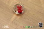 Sàn Gỗ DreamLux 8mm PL8896