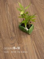 Sàn Gỗ Nam Việt 8mm F8+18