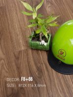 Sàn Gỗ Nam Việt 8mm F8+66