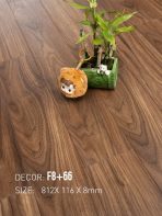 Sàn Gỗ Nam Việt 8mm F8+66