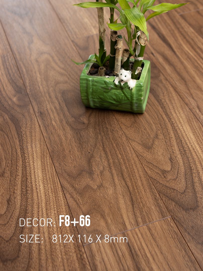 Sàn Gỗ Nam Việt 8mm F8+66