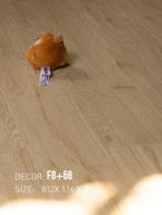 Sàn Gỗ Nam Việt 8mm F8+68