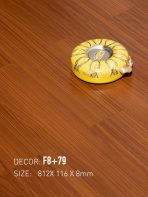 Sàn Gỗ Nam Việt 8mm F8+79