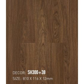 Sàn Gỗ ShopHouse 12mm SH300+38