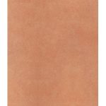 Sàn Nhựa Cuộn 2mm R2020