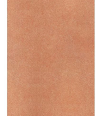 Sàn Nhựa Cuộn 2mm R2020