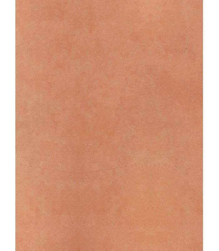 Sàn Nhựa Cuộn 2mm R2020