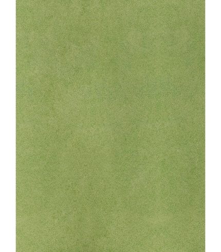 Sàn Nhựa Cuộn 2mm R2030