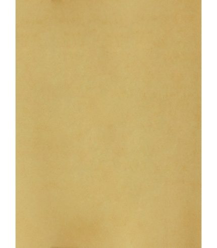 Sàn Nhựa Cuộn 2mm R2040