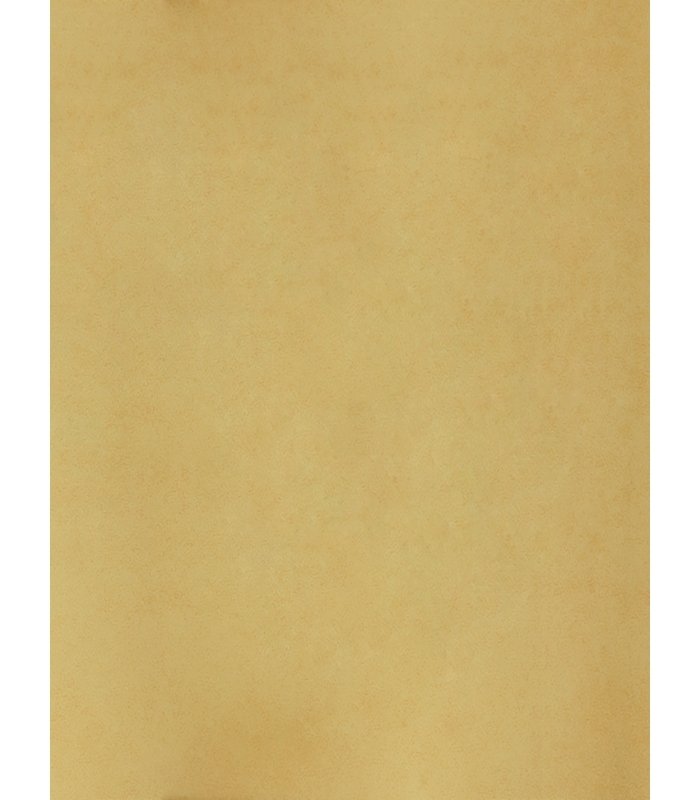 Sàn Nhựa Cuộn 2mm R2040