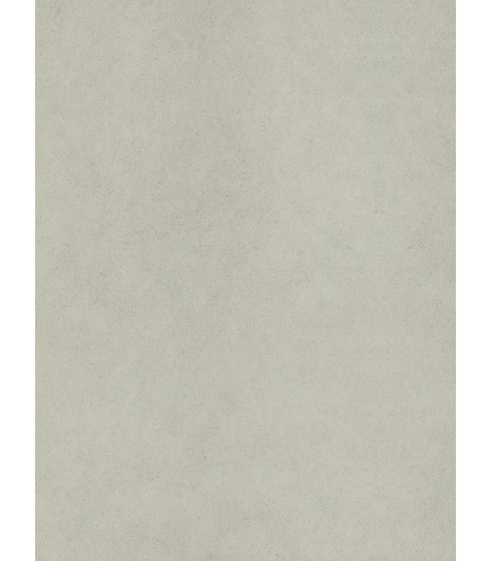 Sàn Nhựa Cuộn 2mm R2050