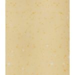 Sàn Nhựa Cuộn 2mm R2080