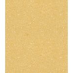 Sàn Nhựa Vinyl Kháng Khuẩn 2mm 2609