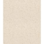 Sàn Nhựa Vinyl Kháng Khuẩn 2mm 2619