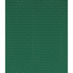 Sàn Nhựa Vinyl Thể Thao 4.5mm Y21048