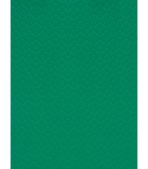 Sàn Nhựa Vinyl Thể Thao 4.5mm Y27170