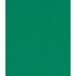 Sàn Nhựa Vinyl Thể Thao 4.5mm Y27170