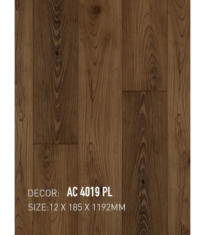 Sàn Gỗ An Cường 12mm AC12 4019 PL