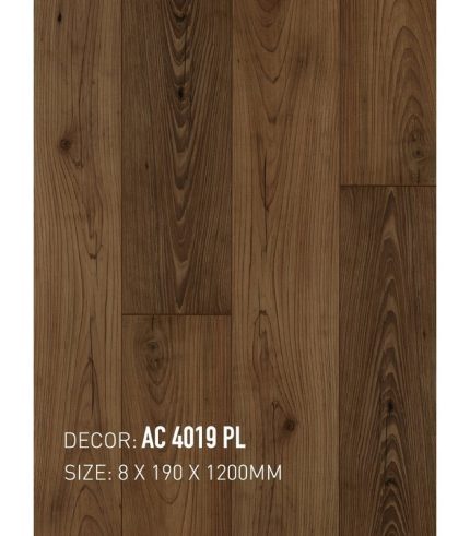 Sàn Gỗ An Cường 8mm AC8 4019 PL