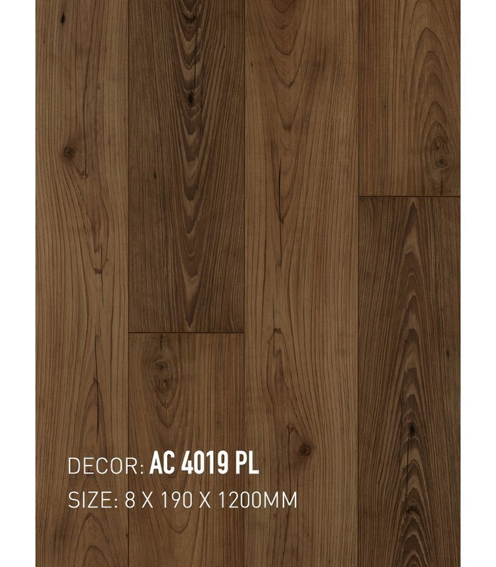 Sàn Gỗ An Cường 8mm AC8 4019 PL