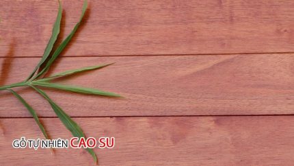 Sàn Gỗ Cao Su Đỏ 15mm CSD 950mm