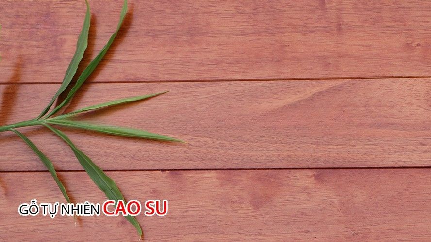 Sàn Gỗ Cao Su Đỏ 15mm CSD 950mm