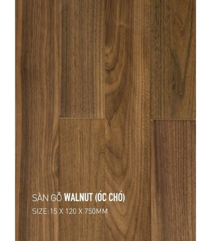 Sàn Gỗ Walnut 15mm Walnut 120x750