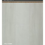 Sàn Nhựa Galaxy 3mm MSC5020