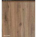 Sàn Nhựa Galaxy 3mm MSC5024