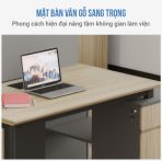 Cụm bàn làm việc 2 người LBV69.3 140x120 - Vân gỗ nhạt - Ảnh 2