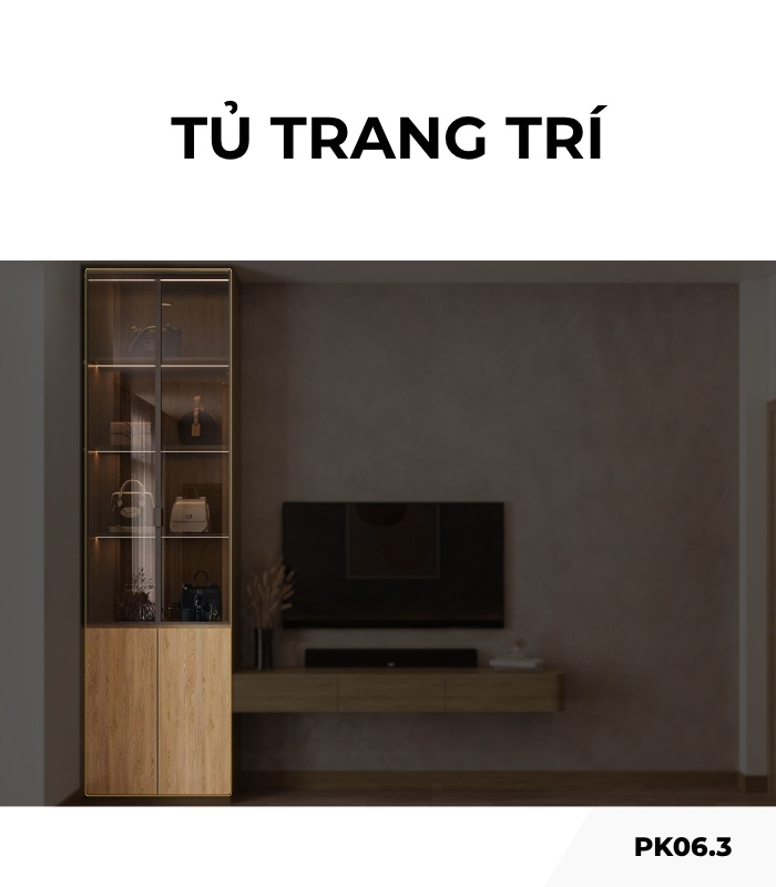 Tủ trang trí cánh Gỗ kết hợp Khung nhôm Kính màu PK06.3