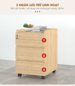 Tab Di Động 3 Ngăn TDD07.4 35x48x60 - Vân gỗ + Trắng