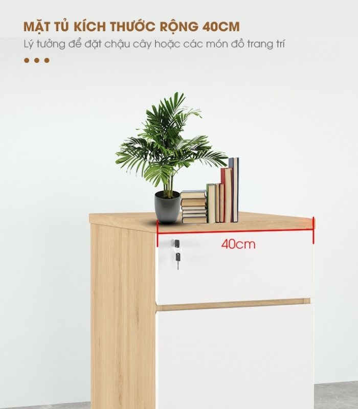 Tab Di Động 2 Ngăn TDD10.1 35x48x60 - Vân gỗ đậm