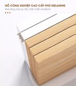 Tab Di Động 2 Ngăn TDD10.1 35x48x60 - Vân gỗ đậm